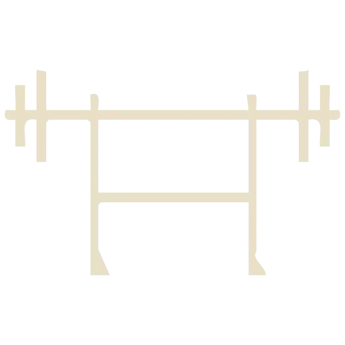 piramal icon